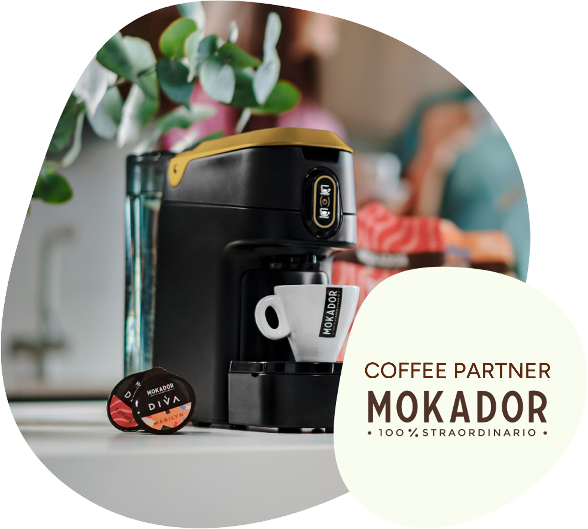 Premio Mokador